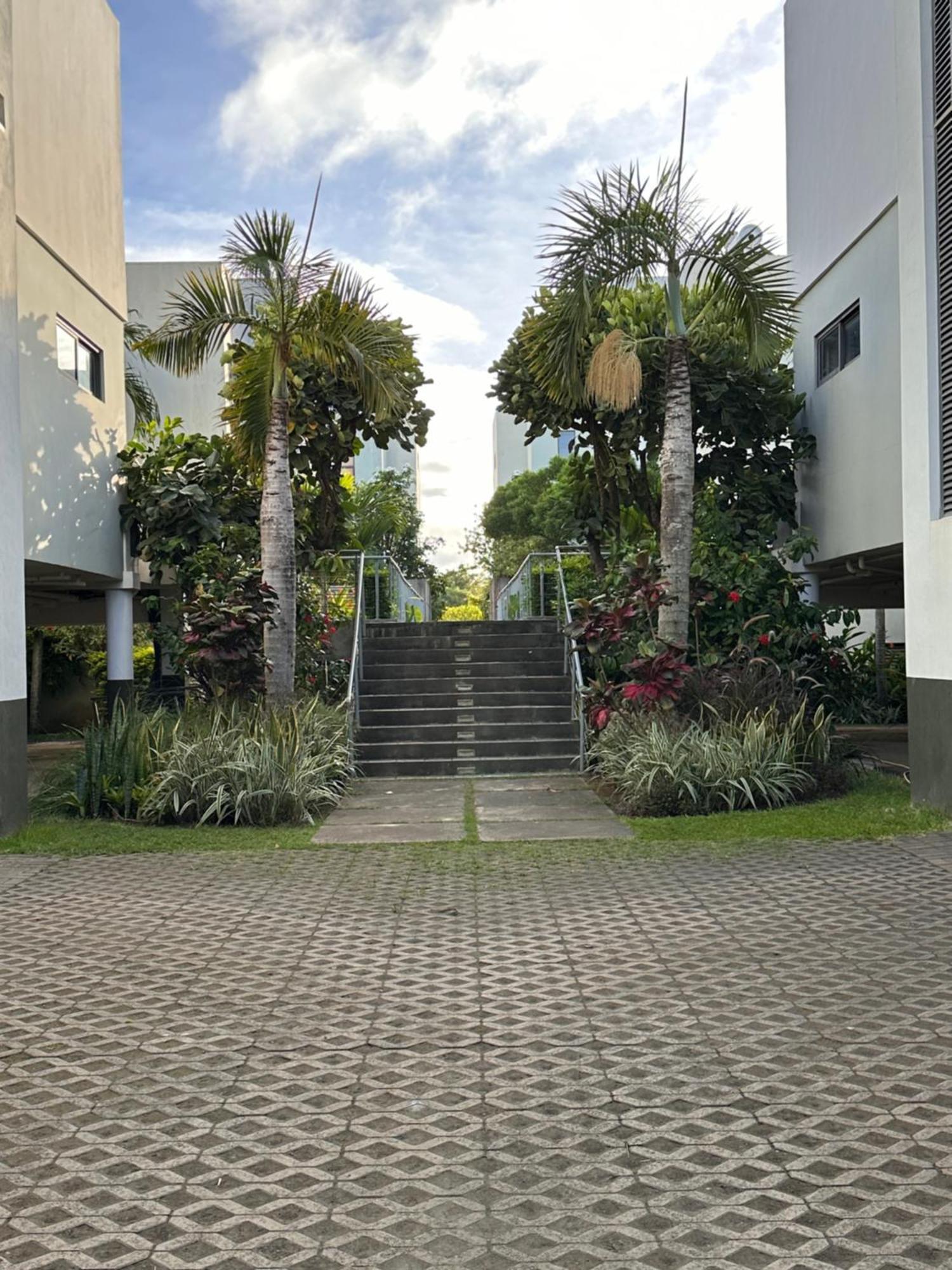 Modern Villa In Grand Bay - Short Walk To Beach Exteriör bild